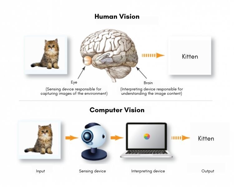Людський зір та комп'ютерний зір