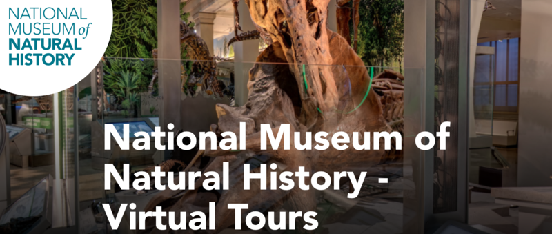 Віртуальні екскурсії Смітсонівського музею